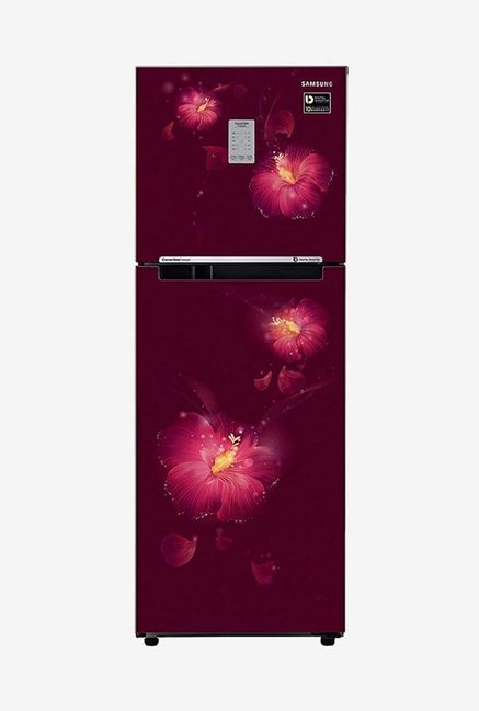 Samsung RT28N3722R3/HL 253L INV 2S Frost Free Double Door Refrigerator (Rosemallow Plum)