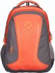 Skybags FOOTLOOSE LEO 5 25 L Backpack  (Grey, Orange)