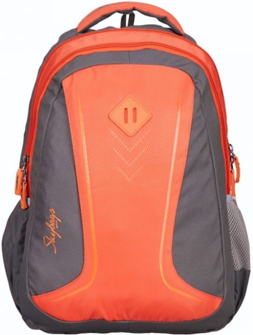 Skybags FOOTLOOSE LEO 5 25 L Backpack(Grey, Orange)
